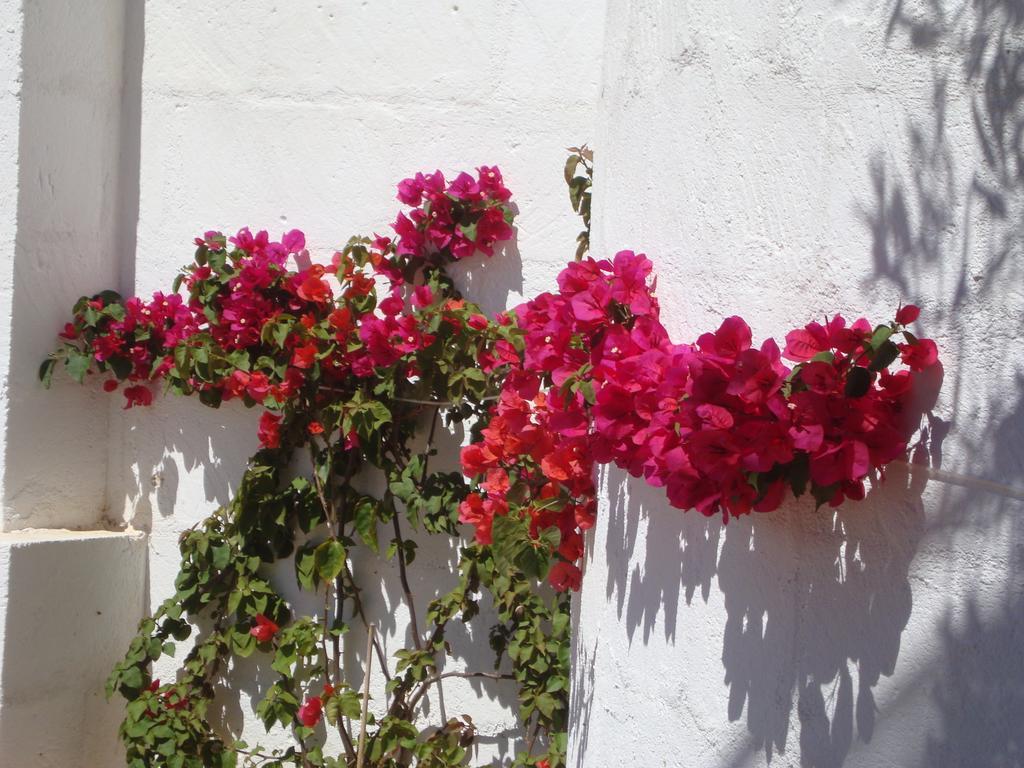 Masseria Bianca Di Puglia Monopoli Δωμάτιο φωτογραφία